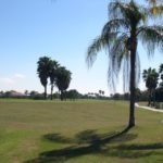 Serenoa Golf Club in Sarasota