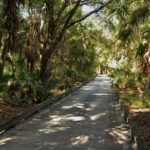 Pelican Pointe in Venice Nature Trails