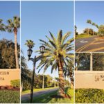 Country Club of Sarasota Palmer Ranch Entrance Sign