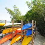 Island Reef in Siesta Key Bay Side Canoe Launch
