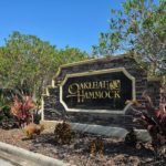 Oakleaf Hammock in Ellenton Homes for Sale Entrance Sign