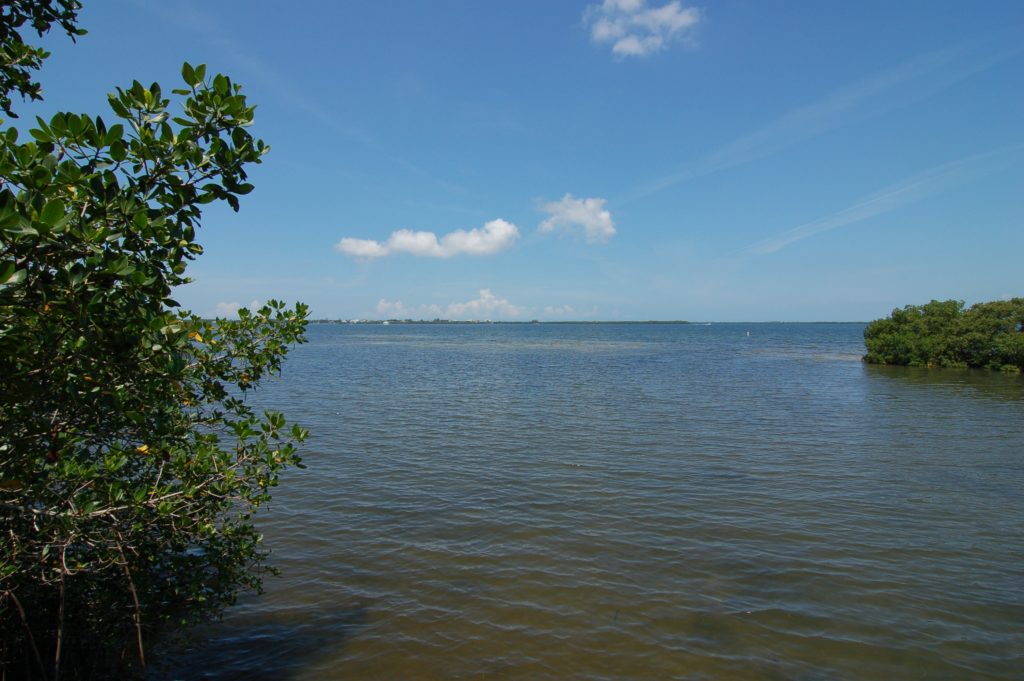 Terra Ceia Bay Club in Palmetto Condos Bay View