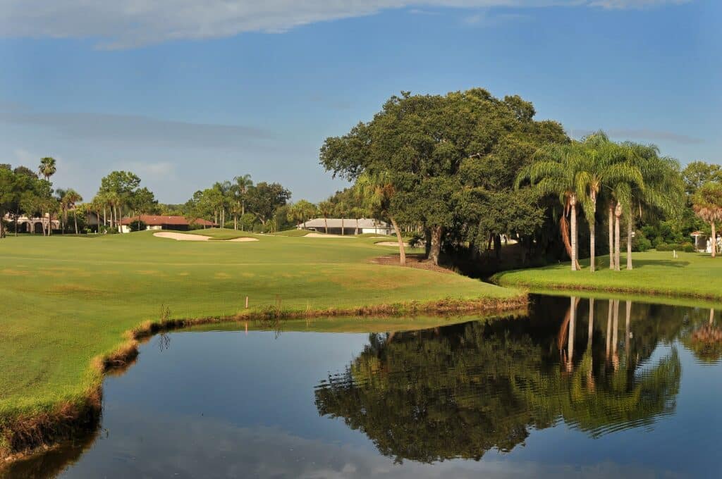 Chandlers Forde Sarasota FL Homes for Sale at the Meadows