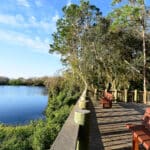 Conservatory Park Palm Aire Near Conservatory Estates Sarasota Florida Homes for Sale