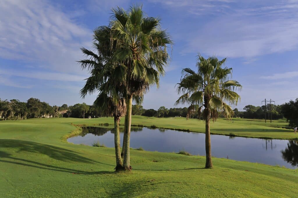 Hampstead Heath Sarasota Florida Homes for Sale at the Meadows