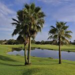 Hampstead Heath Sarasota Florida Homes for Sale at the Meadows