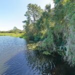 Grand Point Sarasota Florida Homes for Sale