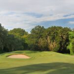 Village Lake Sarasota Condos for Sale at the Meadows