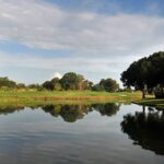 Wedgewood Lake Sarasota Florida Condos for Sale